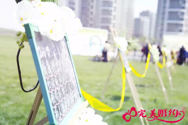 草坪户外婚礼
