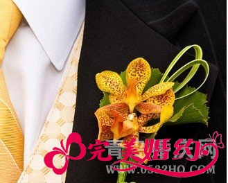 吉祥金色