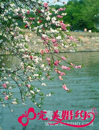 来场华贵的蜜月之旅——杭州西湖